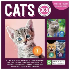 2025 TF Publishing Cat A Day 5.25" x 5.25" Day-to-Day Calendar (25-3002)