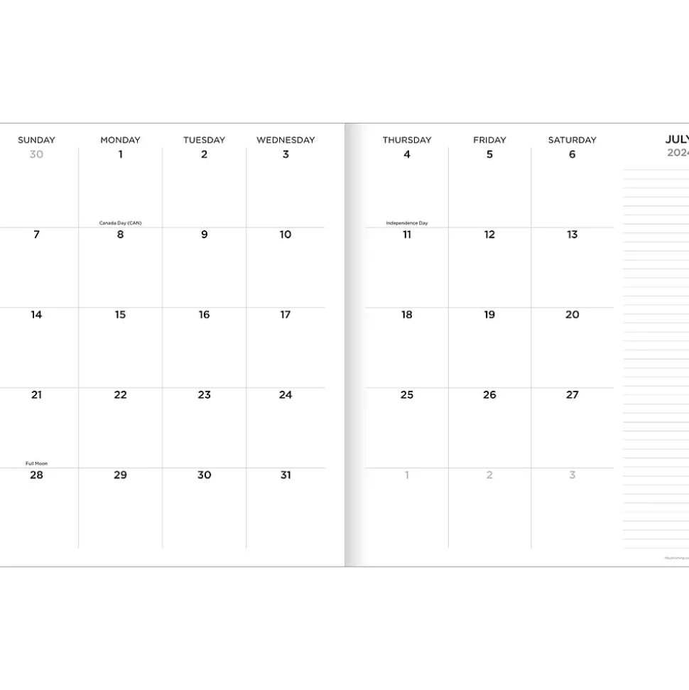 2024-2025 TF Publishing Color Squad 9" x 11" Academic Monthly Planner, Paperboard Cover, Multicolor (AY25-4504)