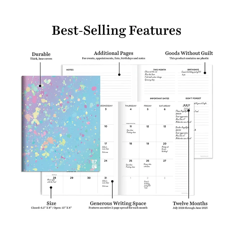 2024-2025 TF Publishing Paint Spatter 6.5" x 8" Academic Monthly Planner, Paperboard Cover, Multicolor (AY25-4210)