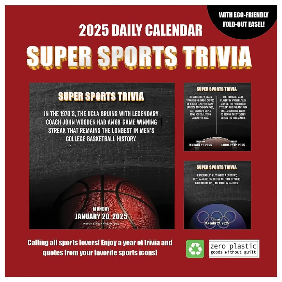 2025 TF Publishing Sports Facts & Trivia 5.25" x 5.25" Day-to-Day Calendar (25-3022)