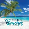 2025 TF Publishing Tropical Beaches 12" x 12" Monthly Wall Calendar (25-1030)