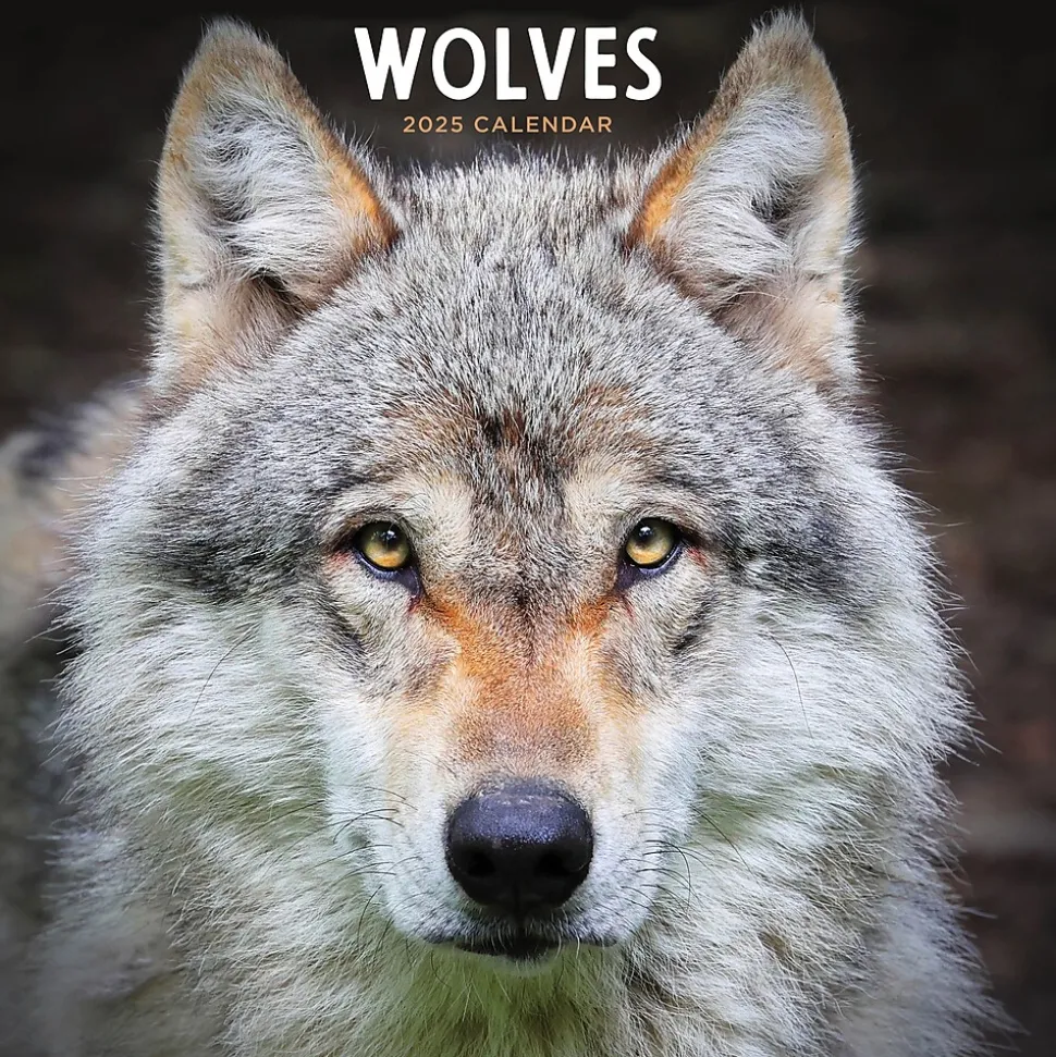 2025 TF Publishing Wolves 12" x 12" Monthly Wall Calendar (25-1035)