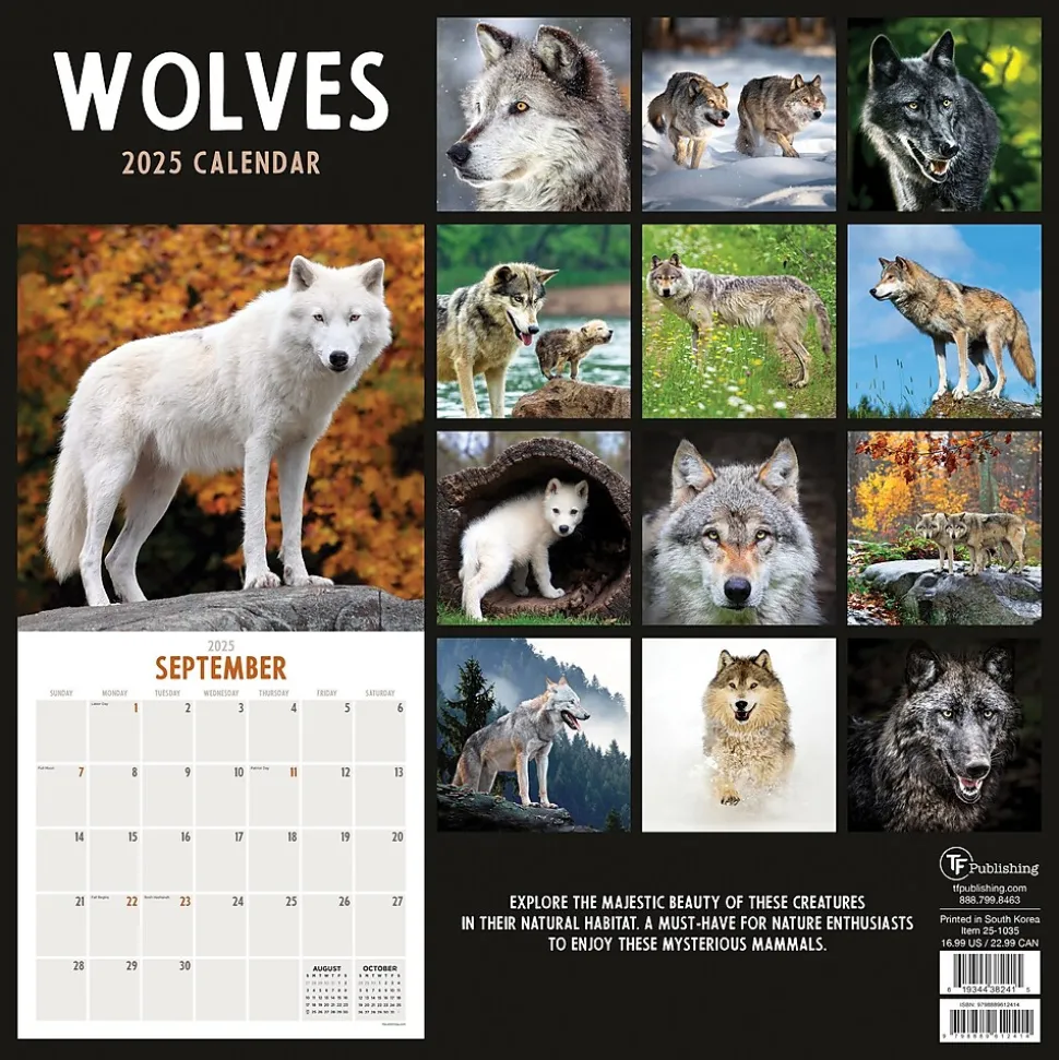 2025 TF Publishing Wolves 12" x 12" Monthly Wall Calendar (25-1035)