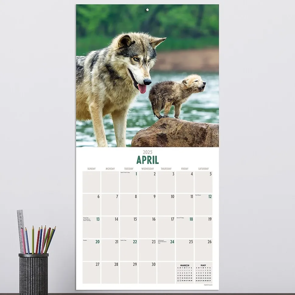 2025 TF Publishing Wolves 12" x 12" Monthly Wall Calendar (25-1035)