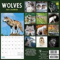 2025 TF Publishing Wolves 7" x 7" Monthly Wall Calendar (25-2015)