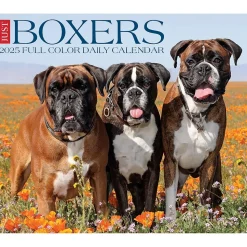 2025 Willow Creek Boxers 6