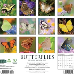 2025 Willow Creek Butterflies 12" x 12" Monthly Wall Calendar (42052)
