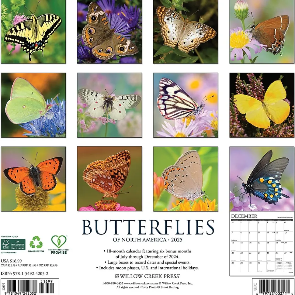 2025 Willow Creek Butterflies 12" x 12" Monthly Wall Calendar (42052)
