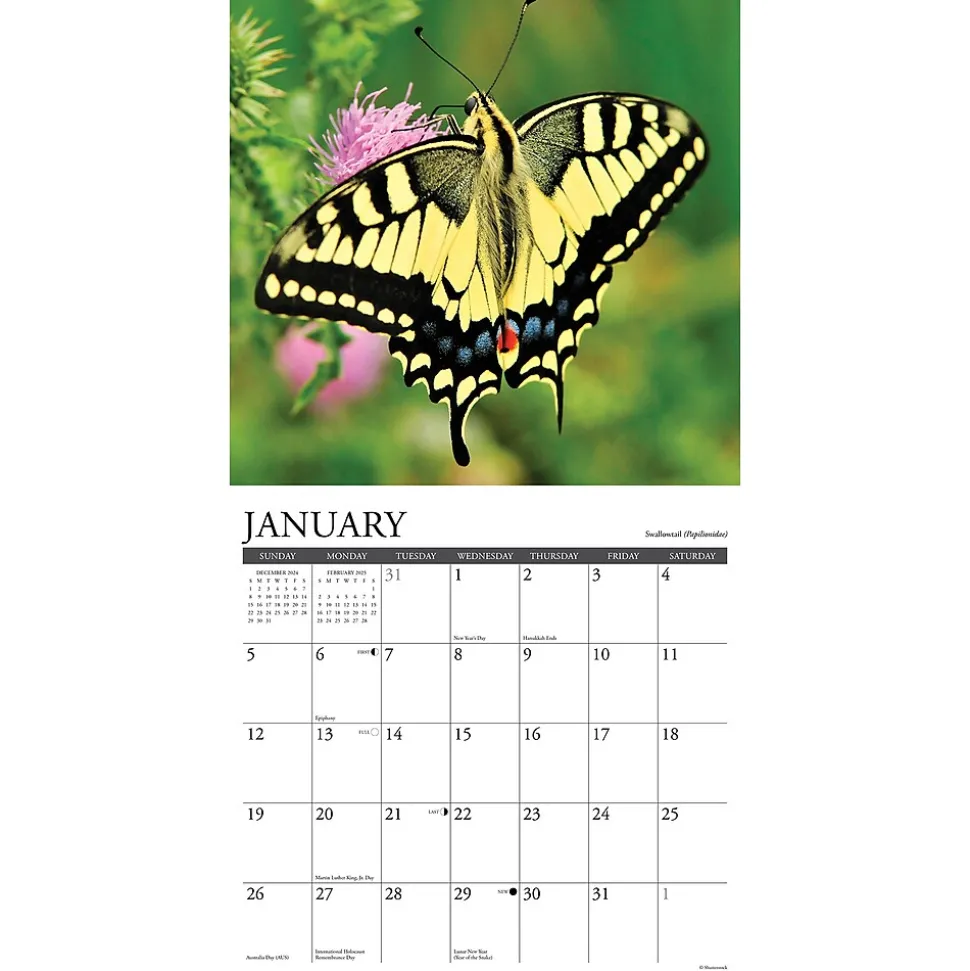 2025 Willow Creek Butterflies 12" x 12" Monthly Wall Calendar (42052)