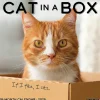 2025 Willow Creek Cat in a Box 12" x 12" Monthly Wall Calendar (42182)