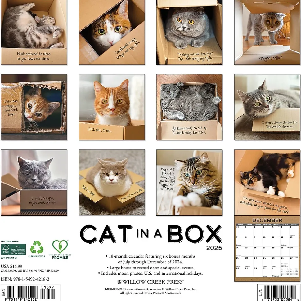 2025 Willow Creek Cat in a Box 12" x 12" Monthly Wall Calendar (42182)