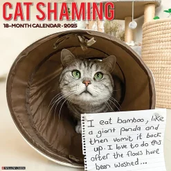 2025 Willow Creek Cat Shaming 12" x 12" Monthly Wall Calendar (42205)