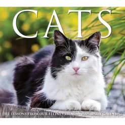 2025 Willow Creek Cats 6