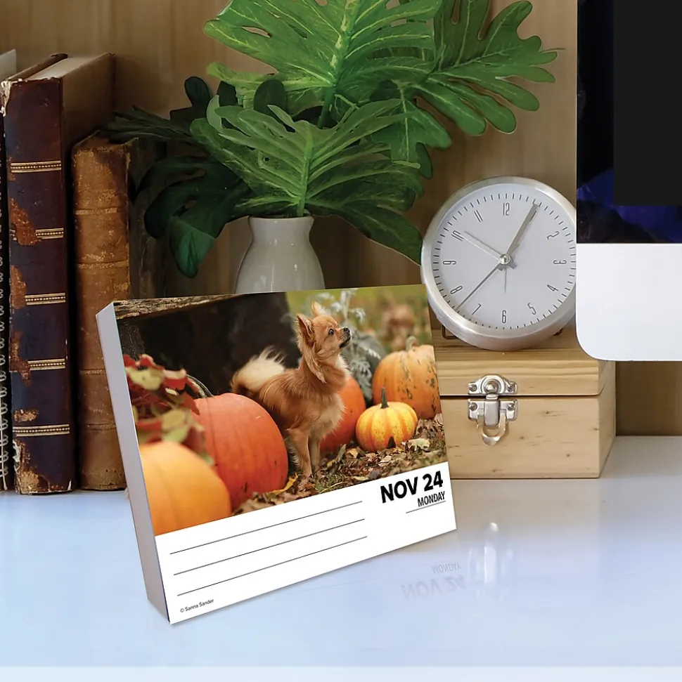 2025 Willow Creek Chihuahuas 6" x 5.5" Day-to-Day Calendar, Multicolor (40737)