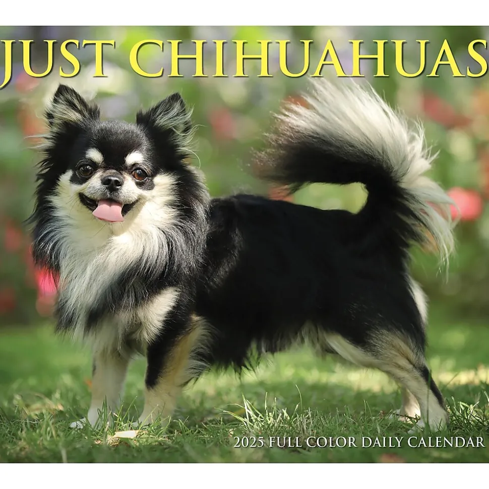 2025 Willow Creek Chihuahuas 6" x 5.5" Day-to-Day Calendar, Multicolor (40737)
