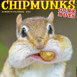 2025 Willow Creek Chipmunks (Gone Nuts!) 12" x 12" Monthly Wall Calendar (42335)