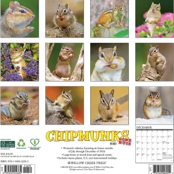 2025 Willow Creek Chipmunks (Gone Nuts!) 12" x 12" Monthly Wall Calendar (42335)
