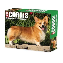2025 Willow Creek Corgis (Dogs and Puppies) 6" x 5.5" Day-to-Day Calendar, Multicolor (40751)