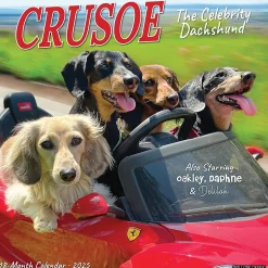 2025 Willow Creek Crusoe the Celebrity Dachshund 12" x 12" Monthly Wall Calendar (42632)