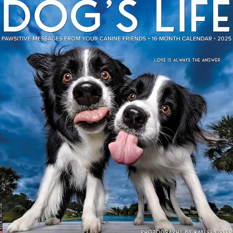 2025 Willow Creek Dog's Life 12" x 12" Monthly Wall Calendar (42731)