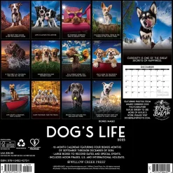 2025 Willow Creek Dog's Life 12" x 12" Monthly Wall Calendar (42731)