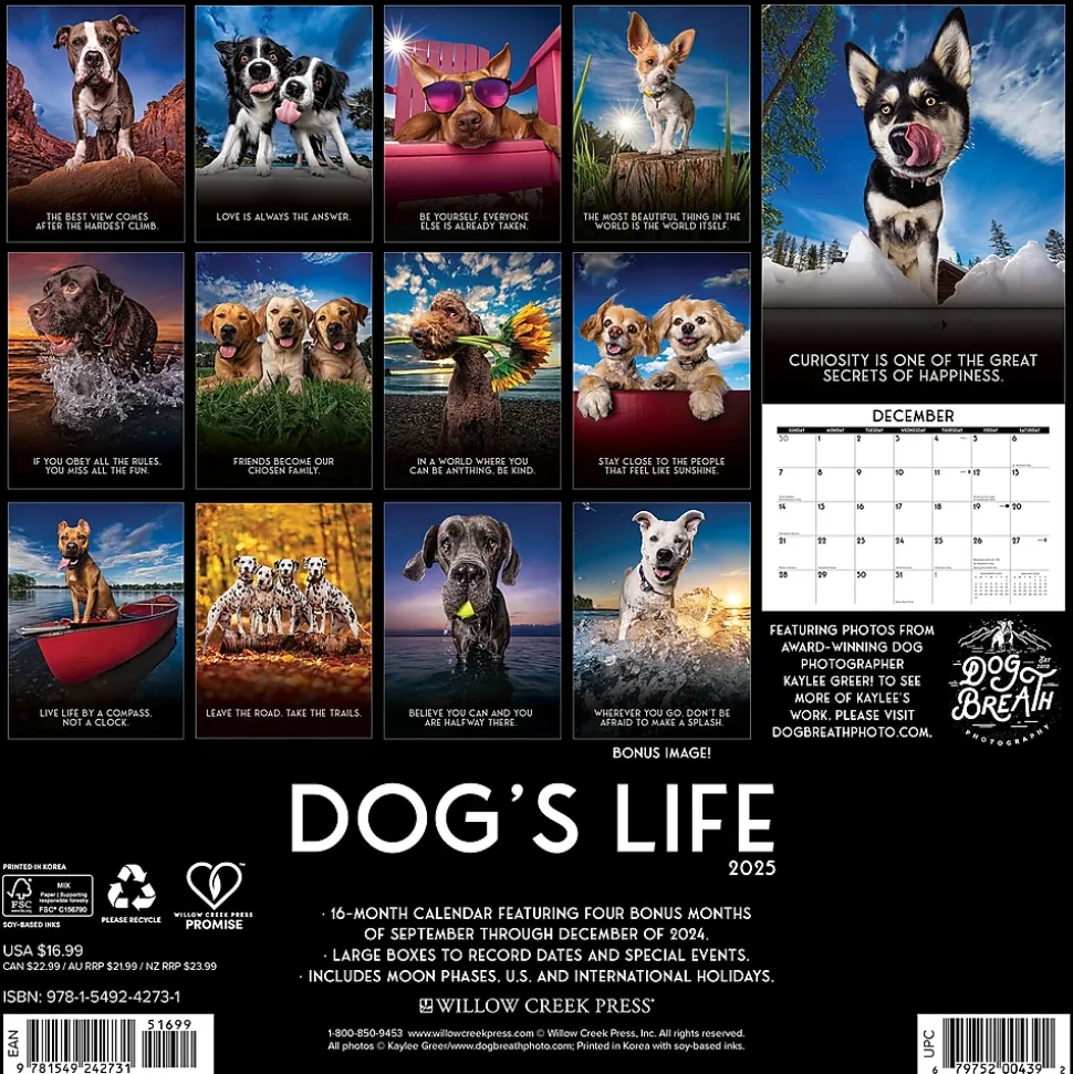 2025 Willow Creek Dog's Life 12" x 12" Monthly Wall Calendar (42731)