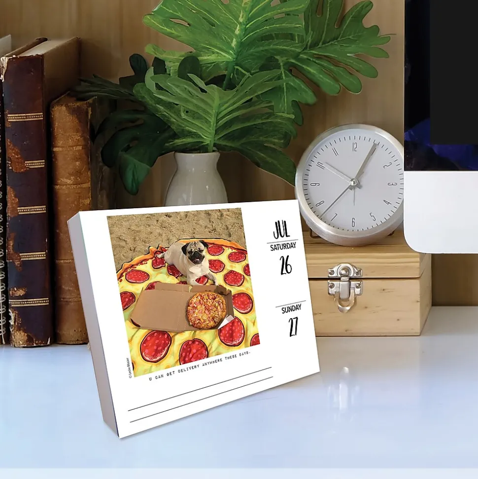2025 Willow Creek Doug the Pug 6" x 5.5" Day-to-Day Calendar (40829)