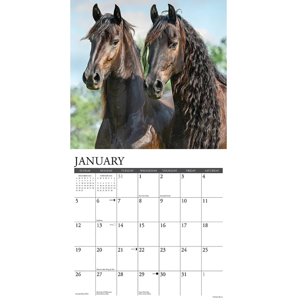 2025 Willow Creek Friesians 12" x 12" Monthly Wall Calendar (42960)