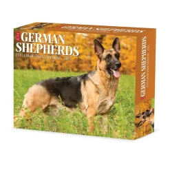 2025 Willow Creek German Shepherds 6" x 5.5" Day-to-Day Calendar, Multicolor (40843)