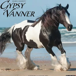 2025 Willow Creek Gypsy Vanner Horse 12" x 12" Monthly Wall Calendar (43264)