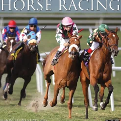 2025 Willow Creek Horse Racing 12" x 12" Monthly Wall Calendar (43363)