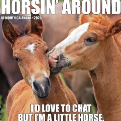 2025 Willow Creek Horsin’ Around 12" x 12" Monthly Wall Calendar (43394)