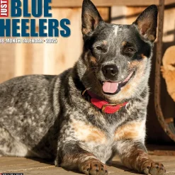 2025 Willow Creek Just Blue Heelers 12" x 12" Monthly Wall Calendar, Multicolor (41888)
