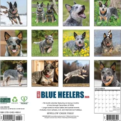 2025 Willow Creek Just Blue Heelers 12" x 12" Monthly Wall Calendar, Multicolor (41888)