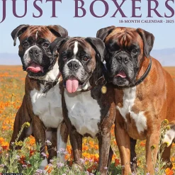 2025 Willow Creek Just Boxers 12" x 12" Monthly Wall Calendar, Multicolor (41949)