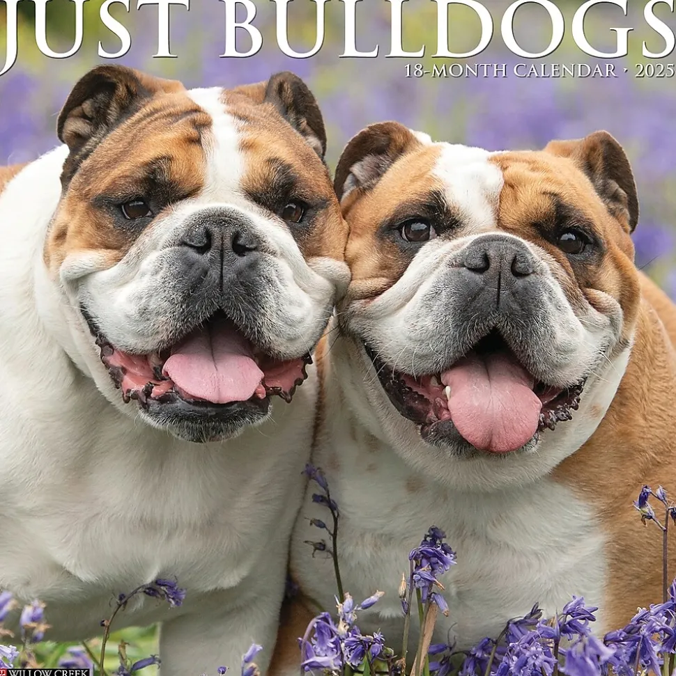 2025 Willow Creek Just Bulldogs 12" x 12" Monthly Wall Calendar (42038)
