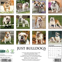 2025 Willow Creek Just Bulldogs 12" x 12" Monthly Wall Calendar (42038)