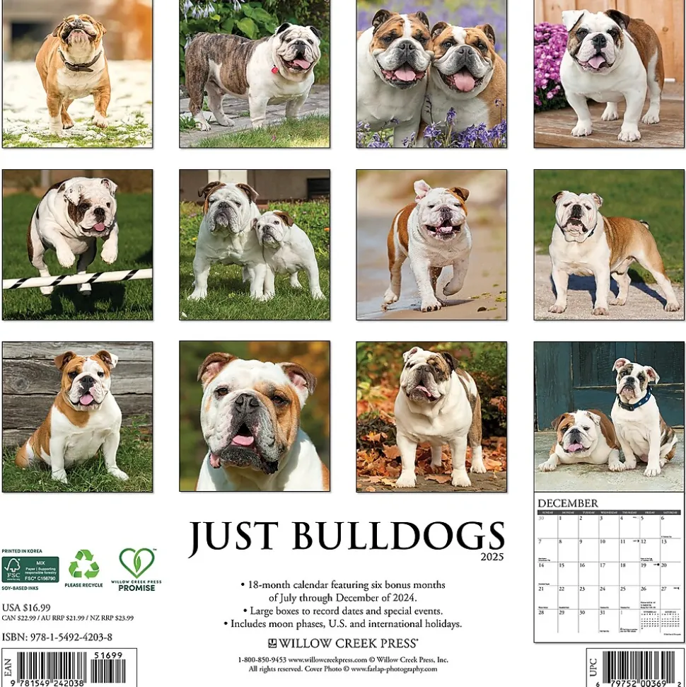 2025 Willow Creek Just Bulldogs 12" x 12" Monthly Wall Calendar (42038)