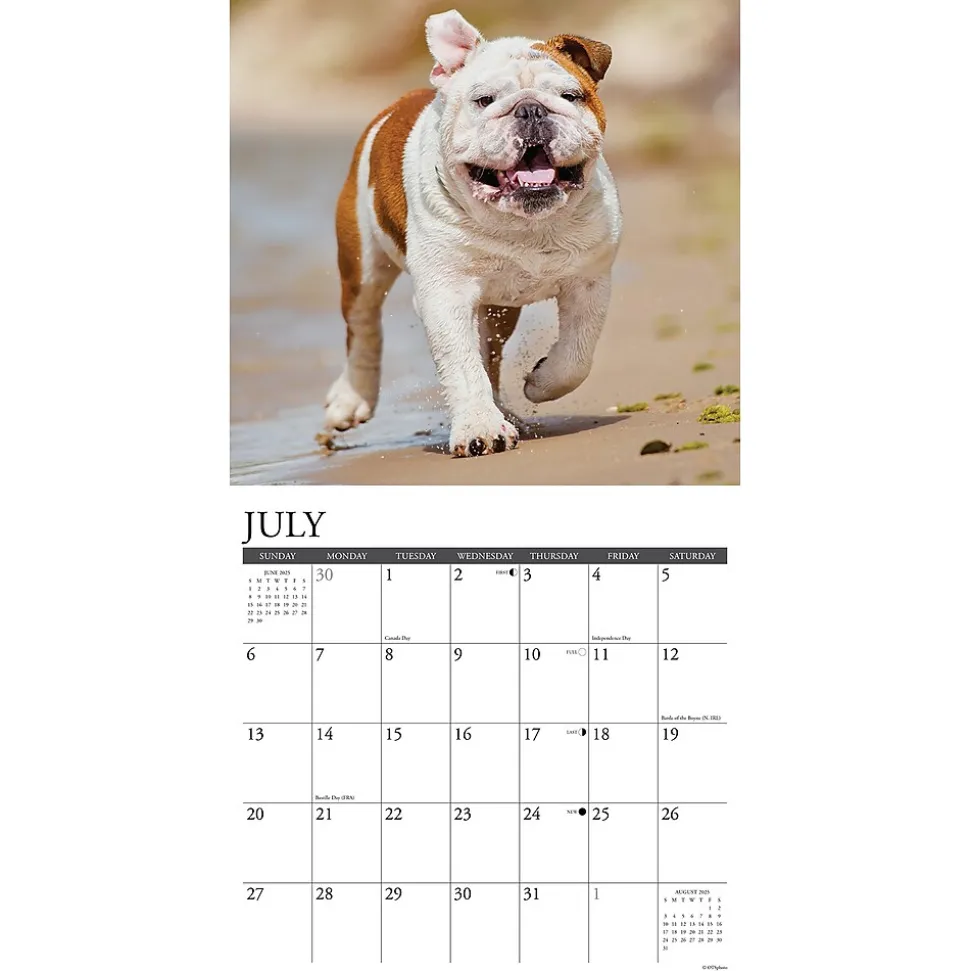 2025 Willow Creek Just Bulldogs 12" x 12" Monthly Wall Calendar (42038)