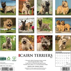 2025 Willow Creek Just Cairn Terriers 12" x 12" Monthly Wall Calendar (42083)