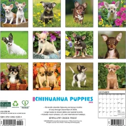 2025 Willow Creek Just Chihuahua Puppies 12" x 12" Monthly Wall Calendar (42304)