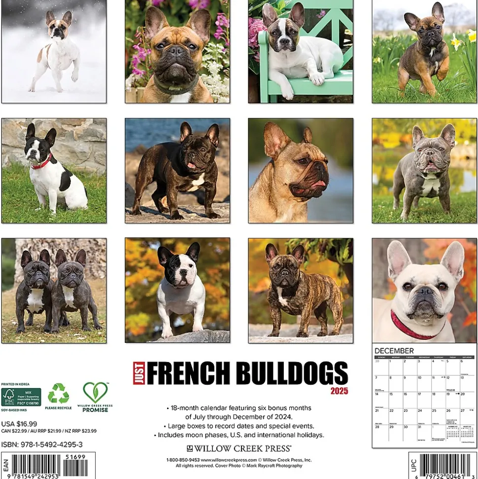 2025 Willow Creek Just French Bulldogs 12" x 12" Monthly Wall Calendar (42953)