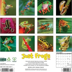 2025 Willow Creek Just Frogs 12" x 12" Monthly Wall Calendar (42977)