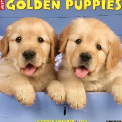 2025 Willow Creek Just Golden Puppies 12" x 12" Monthly Wall Calendar (43097)