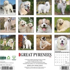 2025 Willow Creek Just Great Pyrenees 12" x 12" Monthly Wall Calendar (43219)