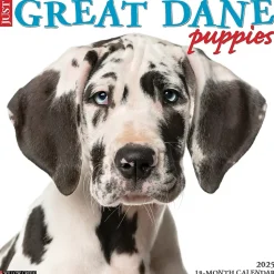 2025 Willow Creek Just Great Dane Puppies 12" x 12" Monthly Wall Calendar (43189)