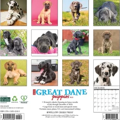2025 Willow Creek Just Great Dane Puppies 12" x 12" Monthly Wall Calendar (43189)