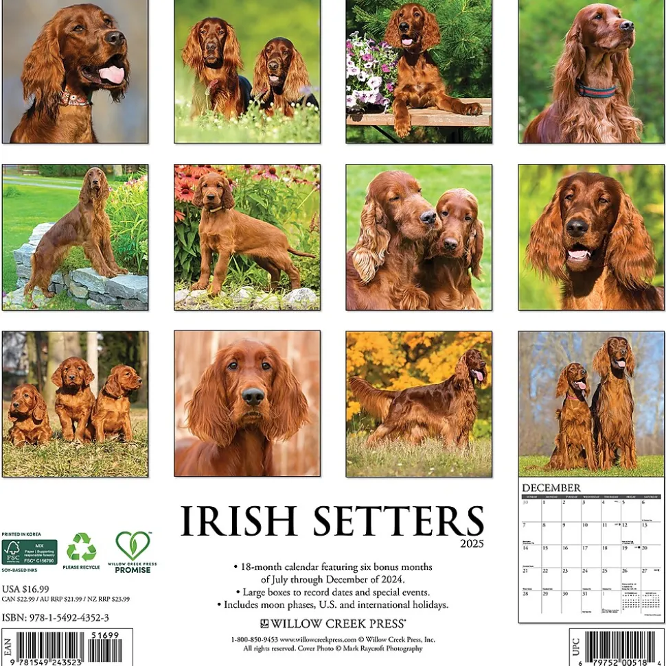 2025 Willow Creek Just Irish Setters 12" x 12" Monthly Wall Calendar (43523)