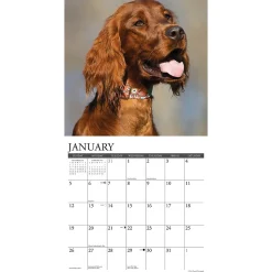 2025 Willow Creek Just Irish Setters 12