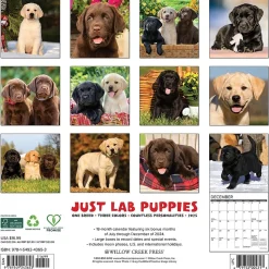 2025 Willow Creek Just Lab Puppies 12" x 12" Monthly Wall Calendar (43653)